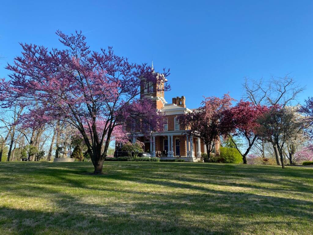 Karbelle Mansion surrounded by purple flowering tees on a sunny day with blue skies.