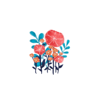 Potentilla Sponsor - Bloom Level
